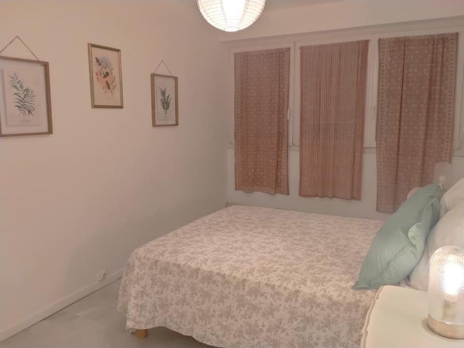 Appartement T3 Plein Centre Saint-Raphaël エクステリア 写真